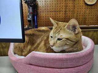 240722-01-E-I.jpg