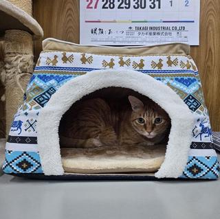 241222-04-E-I.jpg