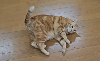 250322-02-E-I.png