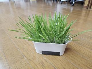 250422-06-E-I.jpg