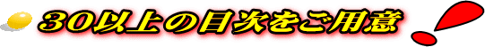 30以上の目次をご用意